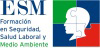 ESM: Instituto de Investigación en Seguridad y Factores Humanos