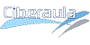 Ciberaula International Training S.L.