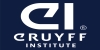 Johan Cruyff Institute