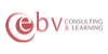 EBV CONSULTING & LEARNING