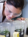Propuestas para mejorar la presencia de las mujeres en las carreras científicas