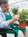 La formación, clave para la inclusión laboral de las personas con discapacidad