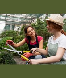 Quiero trabajar en un empleo verde: ¿qué FP elijo?