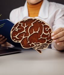 Notas de corte de Psicología: las universidades con las más bajas y altas