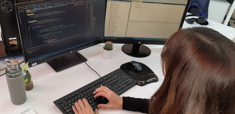 Desarrolladora de software