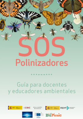 Proyecto SOS Polinizadores